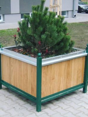 milic cumin (46)