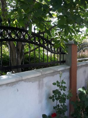 milic cumin (59)
