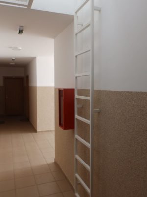 milic cumin (76)